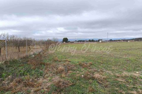 Landejendom i Almansa, Albacete, Almansa - € 125.000 | Ref: SF0553 - foto 30